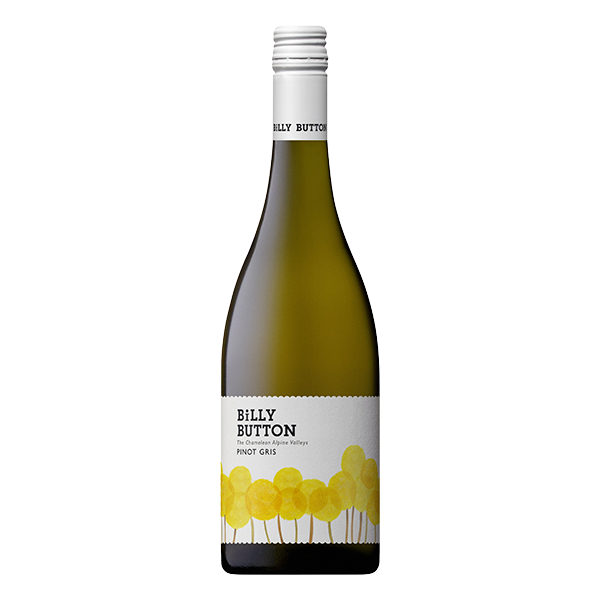 Billy Button Pinot Gris, a fresh and aromatic Alpine Valleys white wine with pear, floral notes, and a crisp finish.